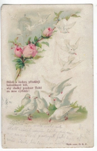 Pohlednice Sváteční holubi tlačená (188323)