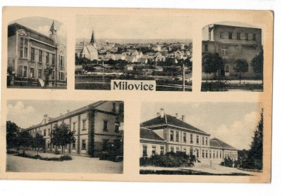 Milovice okýnková (1152615s)