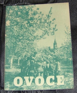 Ovoce (1035910) ext. sklad