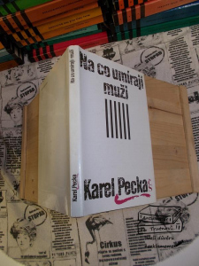 Na co umírají muži Karel Pecka (880021)