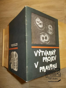 Výtvarný projev v pravěku (15822) Z19