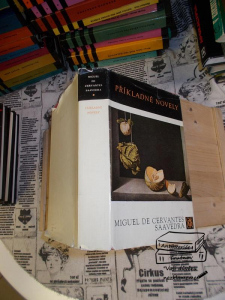 Příkladné novely Miguel de Cervantes Saavedra (185922) externí sklad