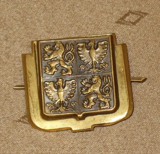 Odznak čepicový Česká republika důstojník (81323d)