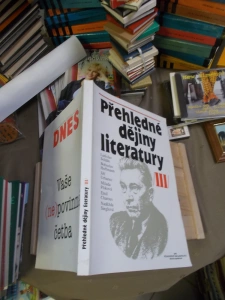 Přehledné dějiny literatury III (274923)