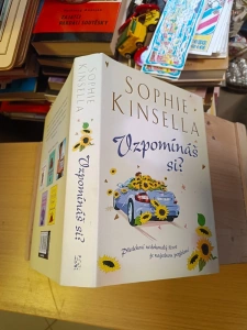 Vzpomínáš si? Sophie Kinsella (273324) F4AA