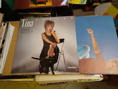 LP Tina Turner Private Dancer (627124) GD6