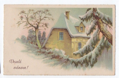 Veselé vánoce zasněžený domek a stromy (917117) ext. sklad