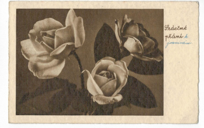 Pohled Srdečné přání Květiny růže (83620) externí sklad